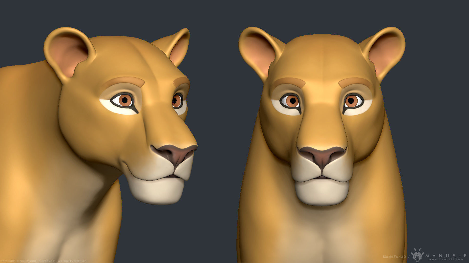 Stylized Cartoon Lion 3D model_8