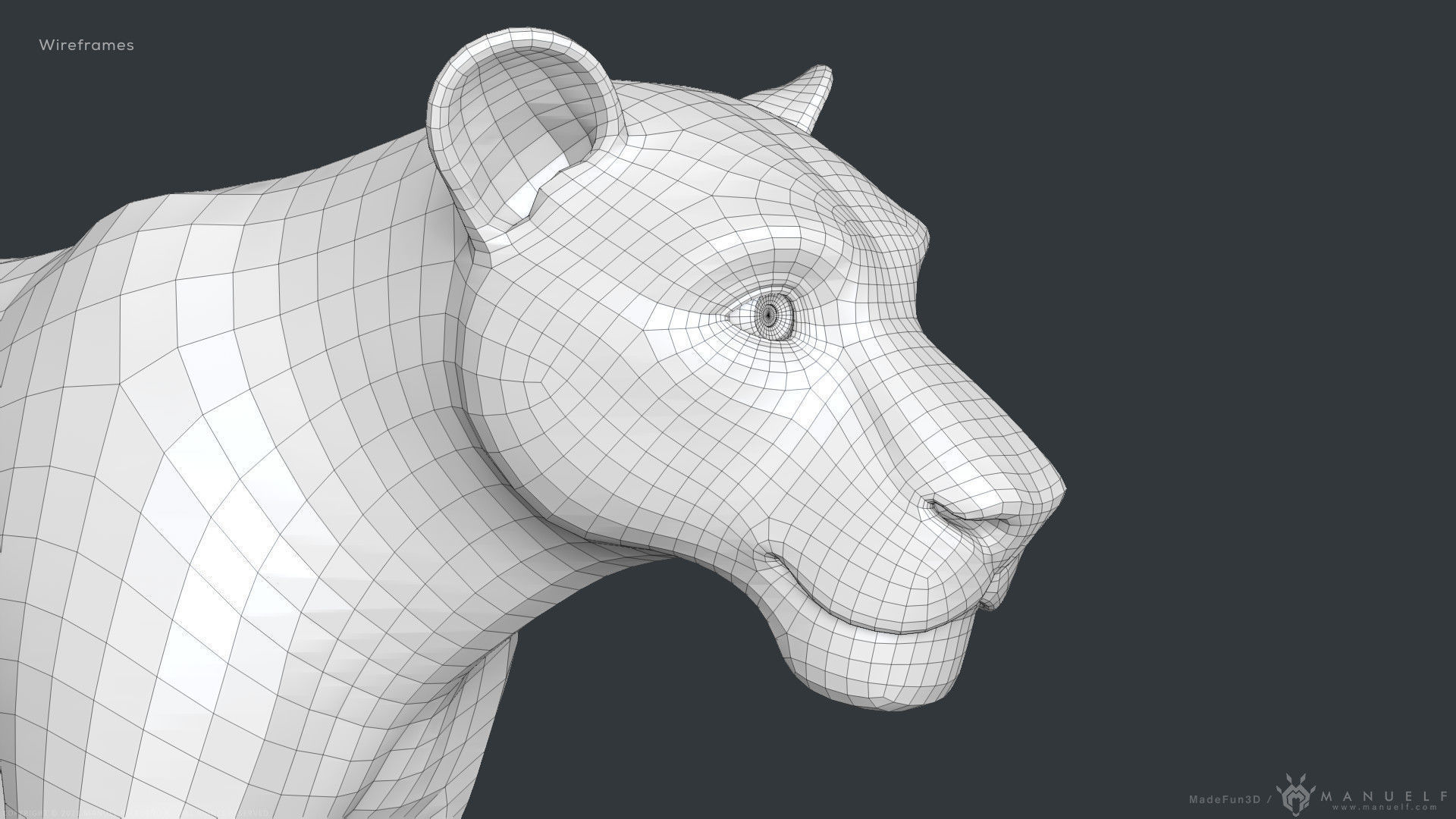 Stylized Cartoon Lion 3D model_21