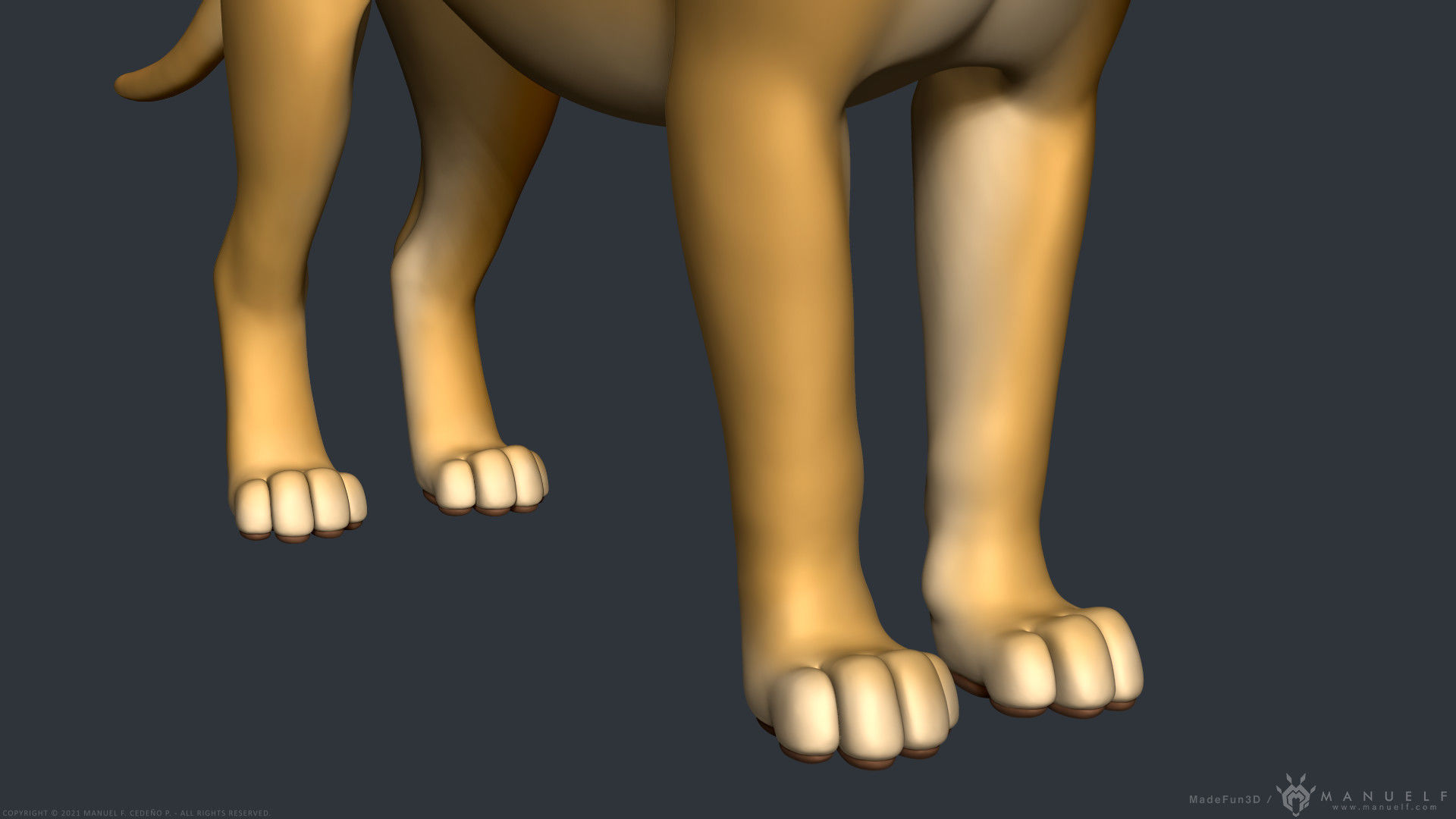 Stylized Cartoon Lion 3D model_10