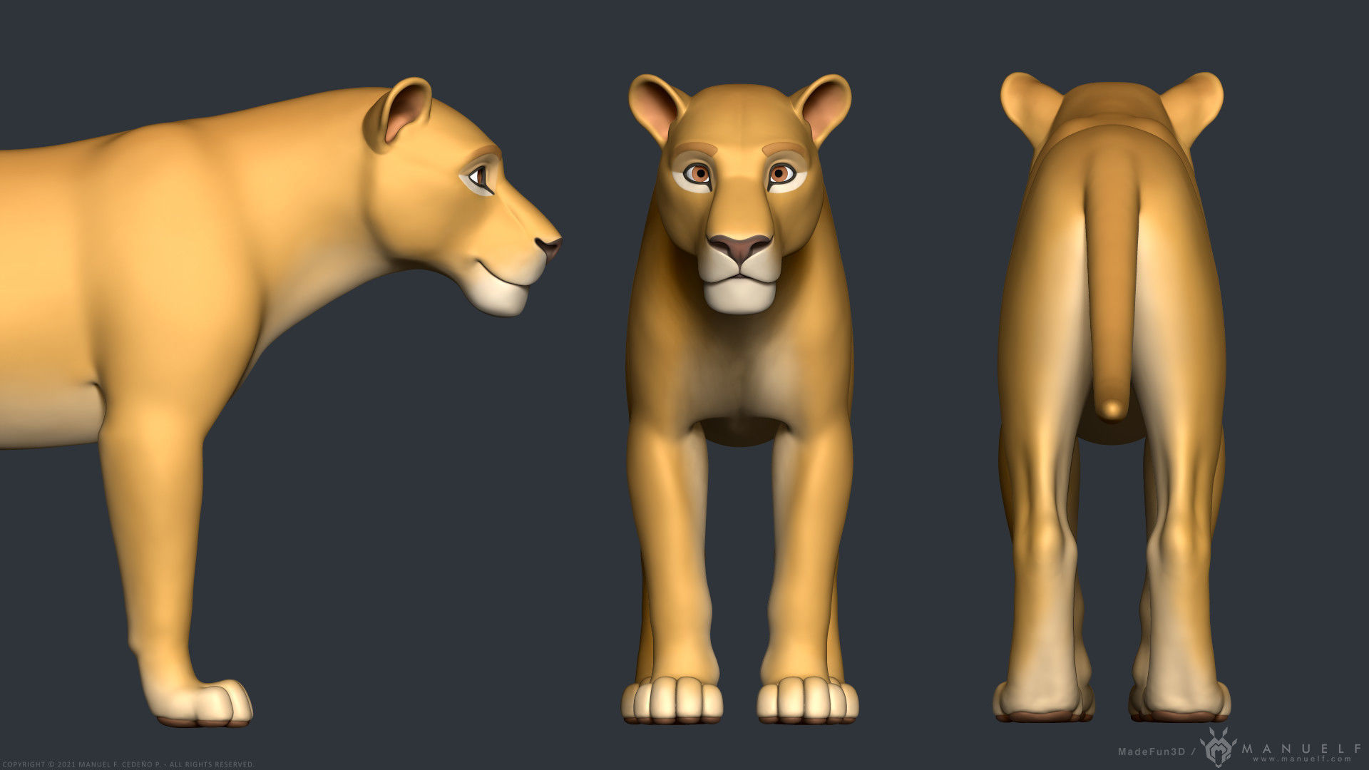 Stylized Cartoon Lion 3D model_4