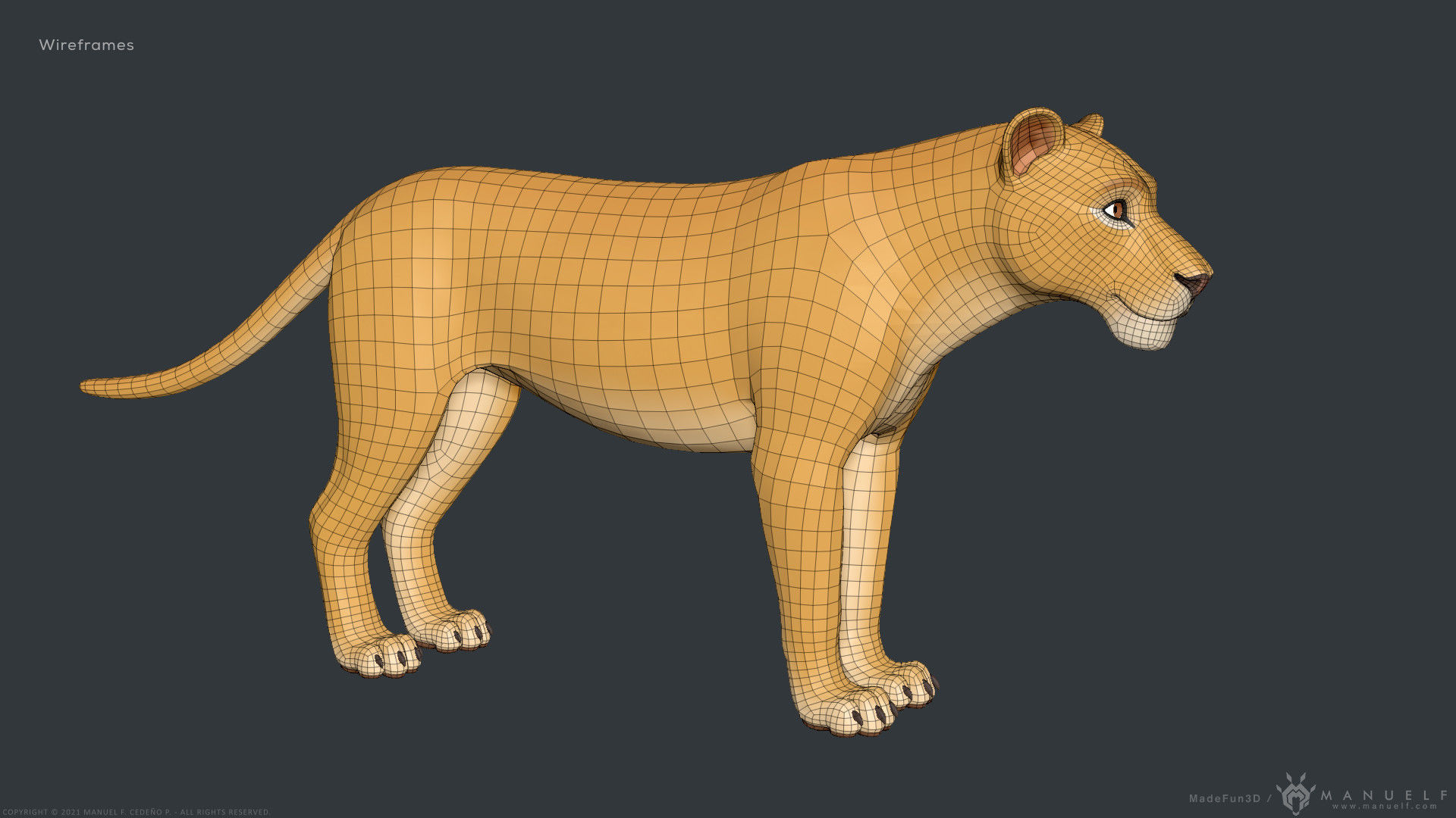 Stylized Cartoon Lion 3D model_15