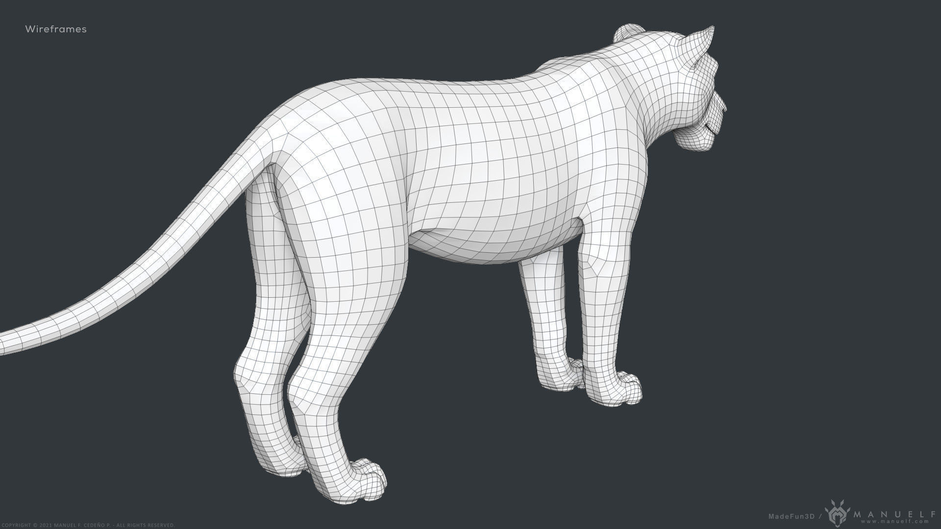 Stylized Cartoon Lion 3D model_20