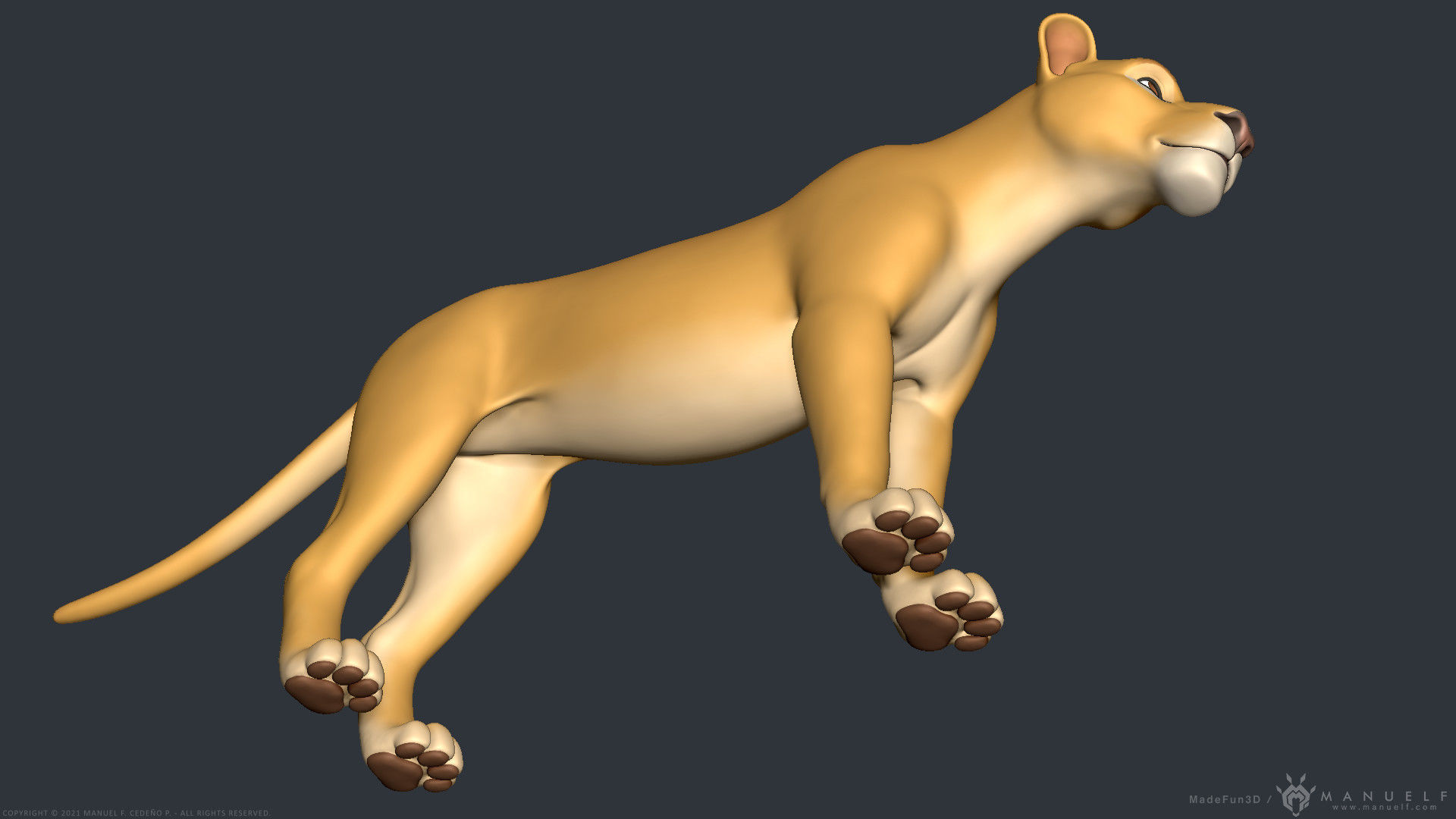 Stylized Cartoon Lion 3D model_9