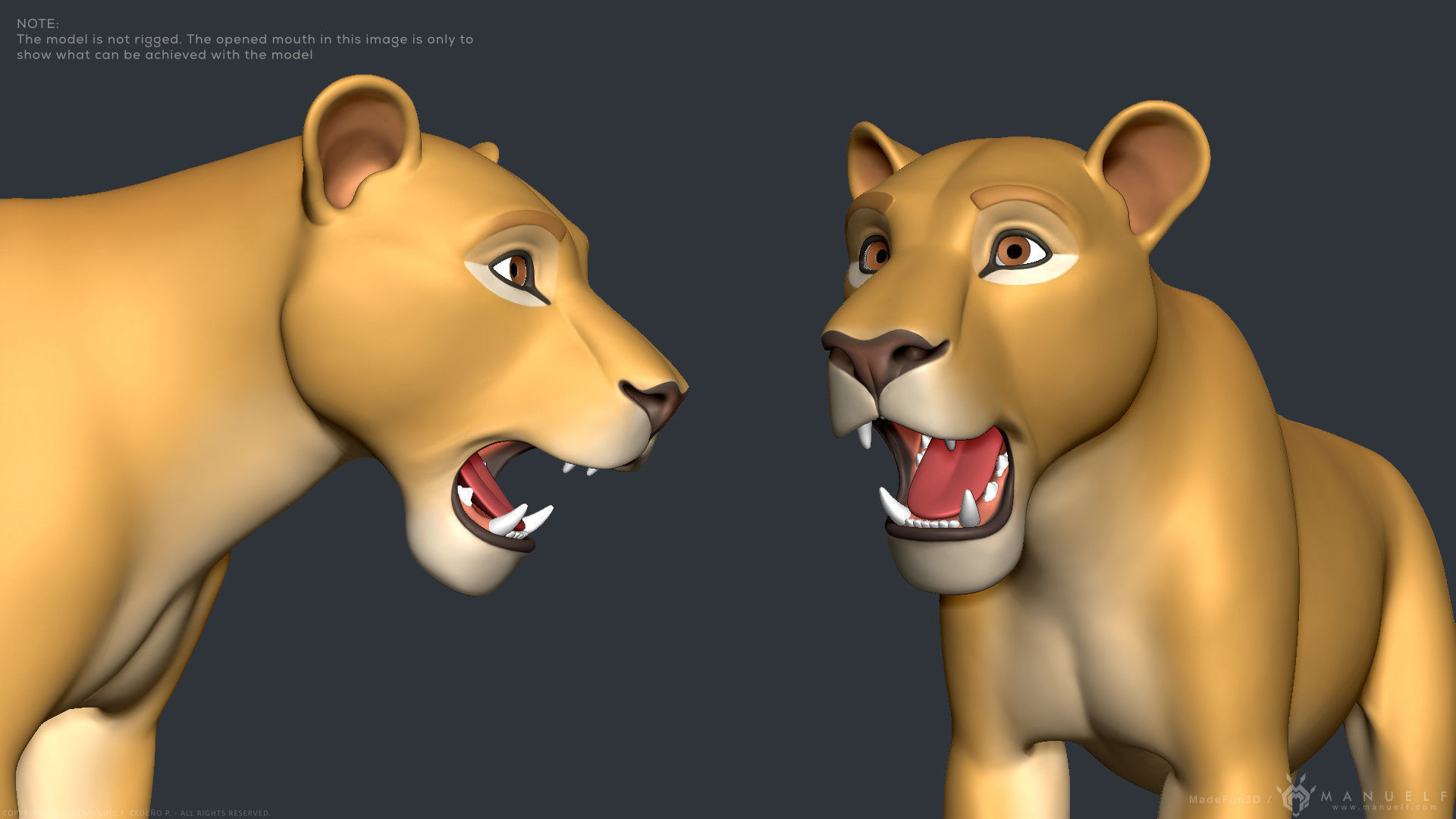 Stylized Cartoon Lion 3D model_14