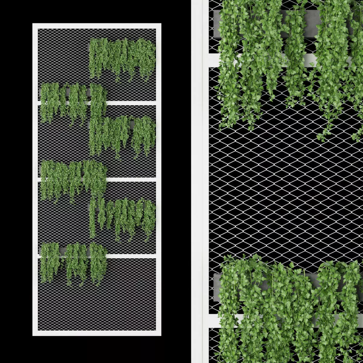 Collection plant vol 194 3D model_0