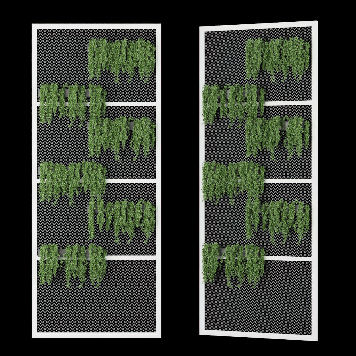 Collection plant vol 194 3D model_1