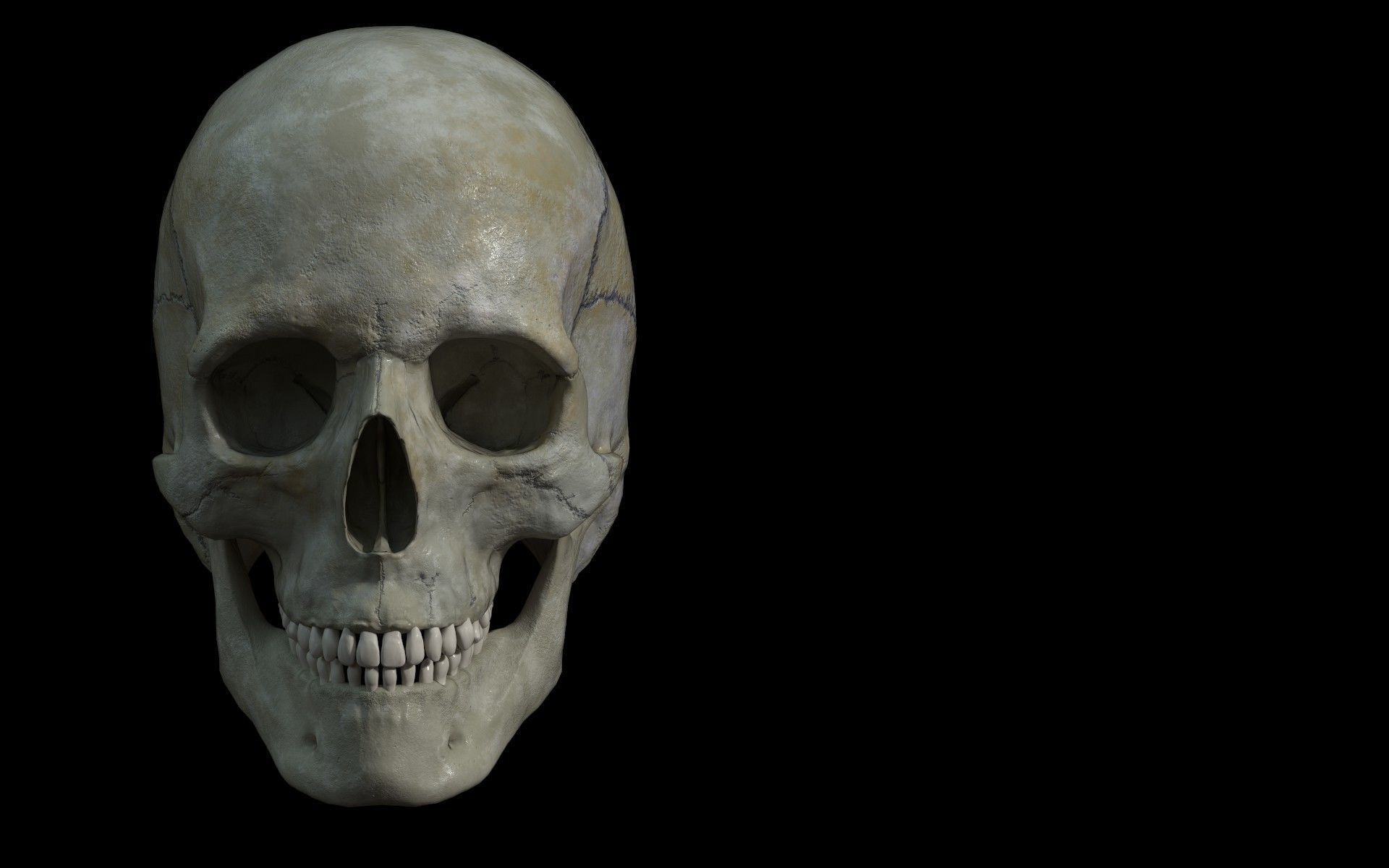 Human skull Low-poly 3D model_4