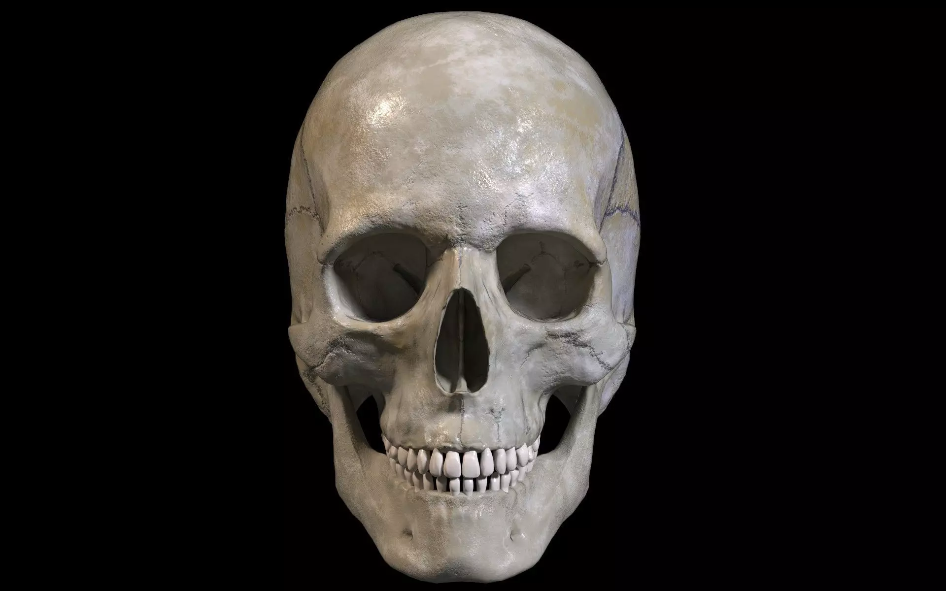 Human skull Low-poly 3D model_0