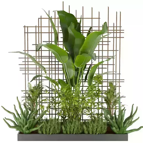 Collection plant vol 195 3D model
