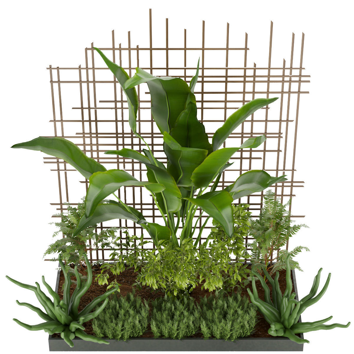 Collection plant vol 195 3D model_1