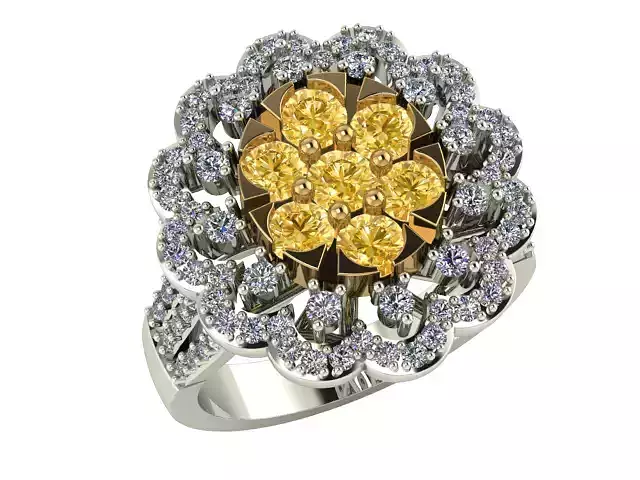 jewelry ring