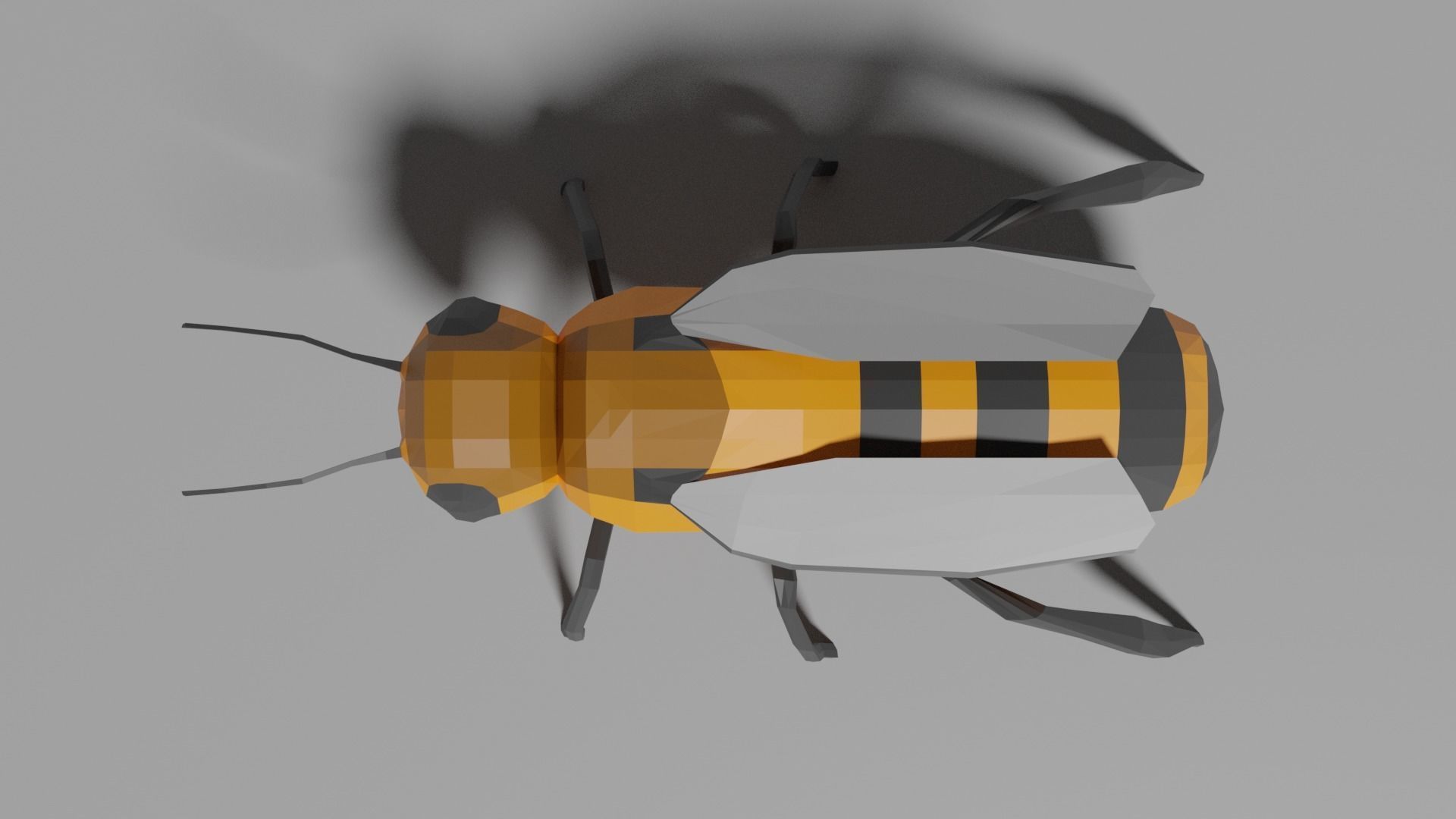 Low-poly Bee Low-poly 3D model_3