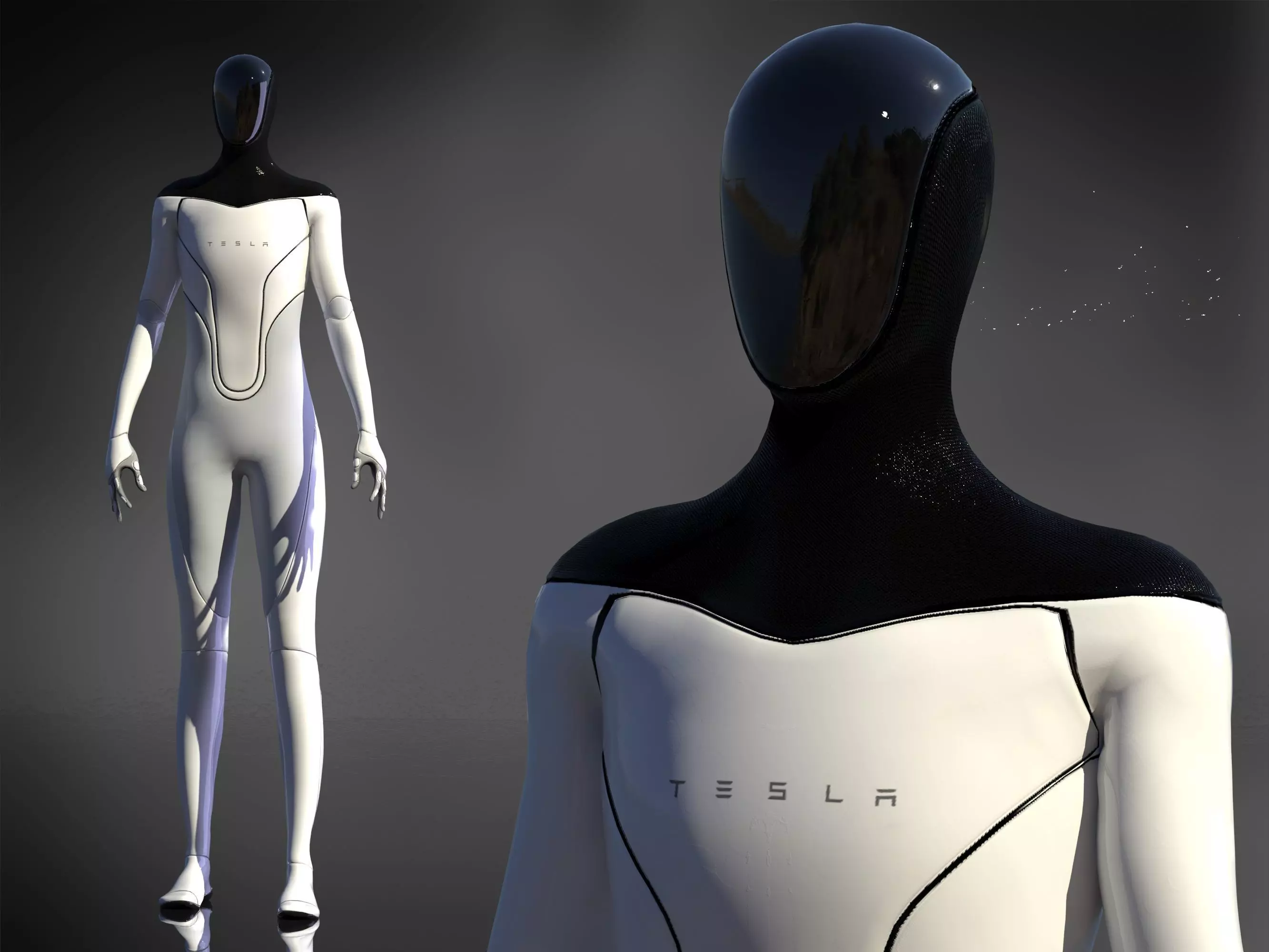 Tesla Bot Low-poly 3D model_0