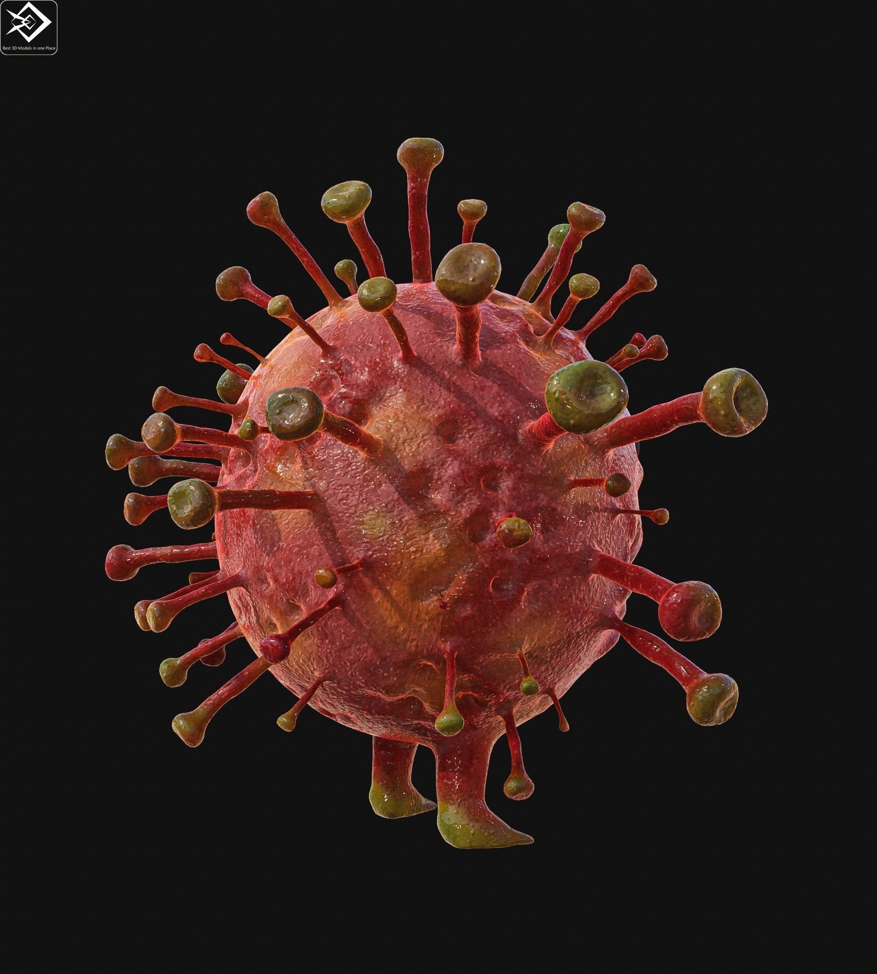 Covid 19 character Low-poly 3D model_8