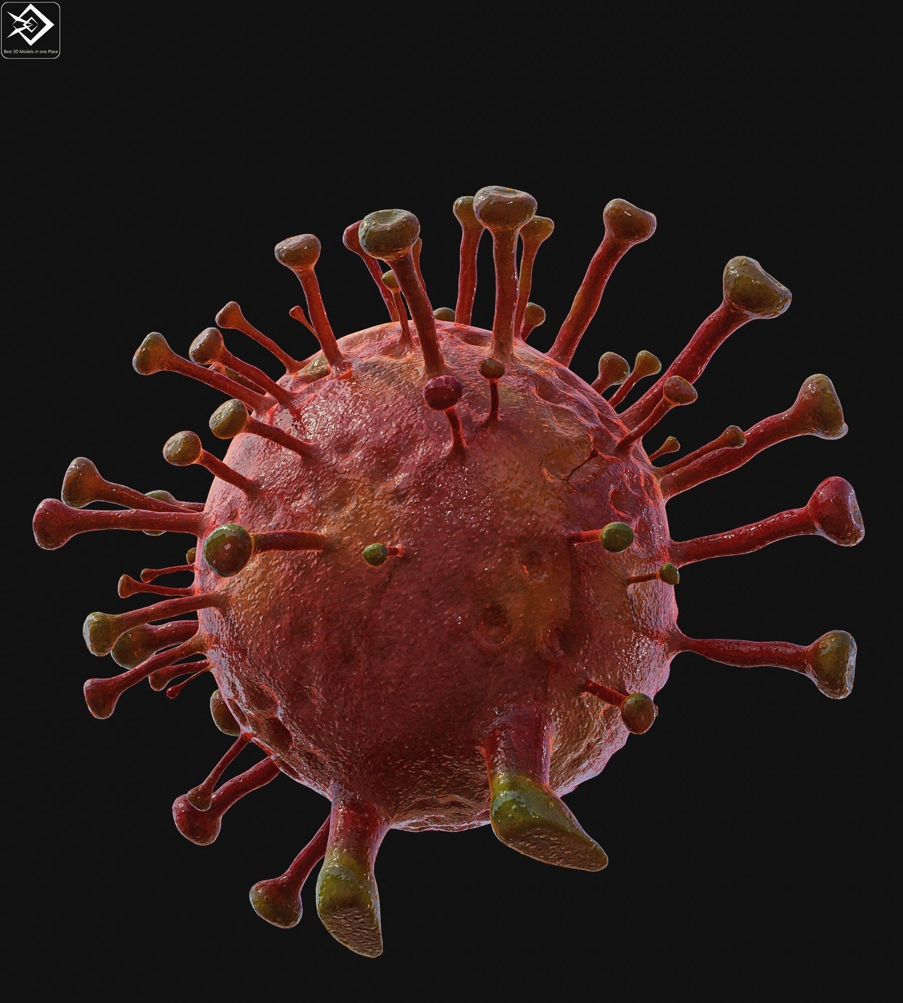 Covid 19 character Low-poly 3D model_2