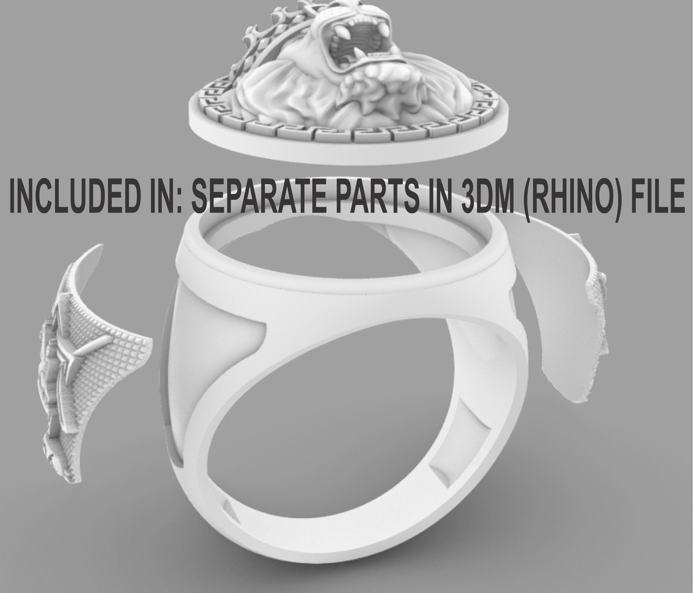 Lion of Judah Ring Leao de Juda 3D Print Model 3D print model_5