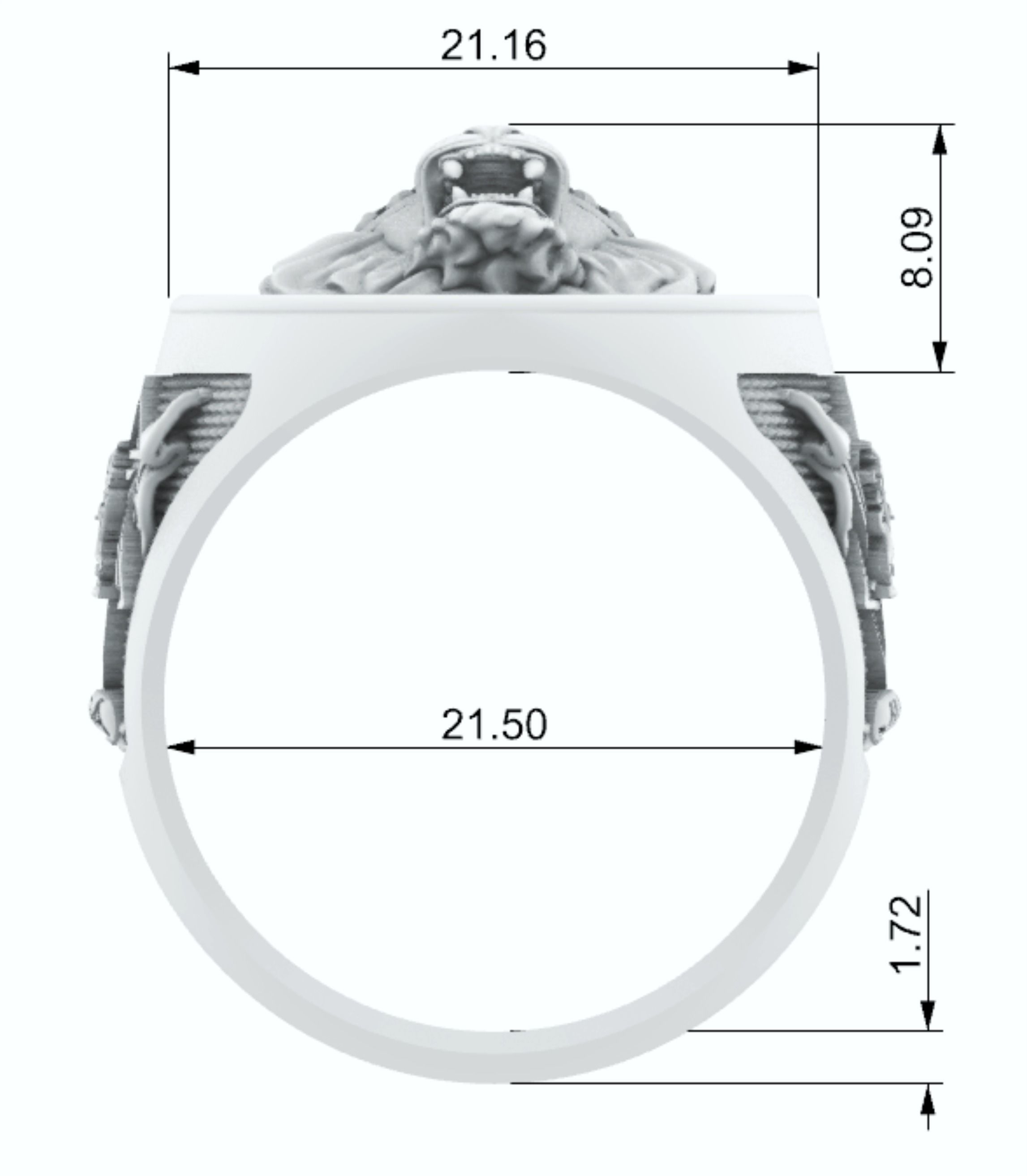 Lion of Judah Ring Leao de Juda 3D Print Model 3D print model_10
