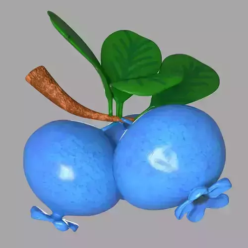 Blue olive fruit