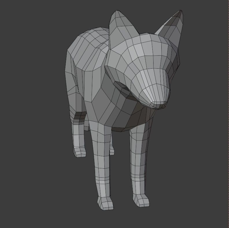 Gray Wolf Low-poly 3D model_12