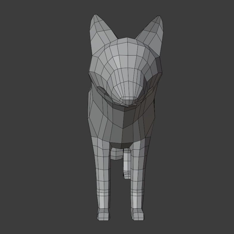Gray Wolf Low-poly 3D model_13