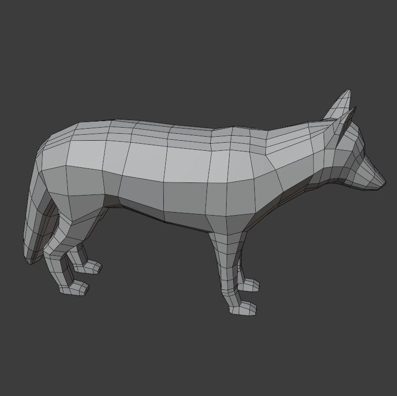 Gray Wolf Low-poly 3D model_16