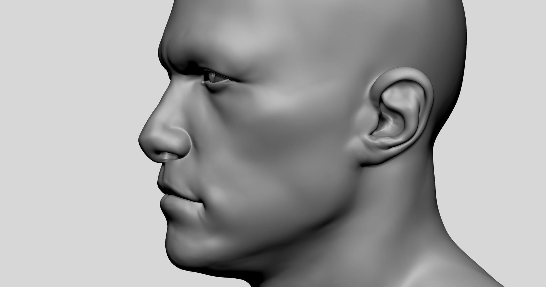 Male Head Basemesh v3 3D model_10