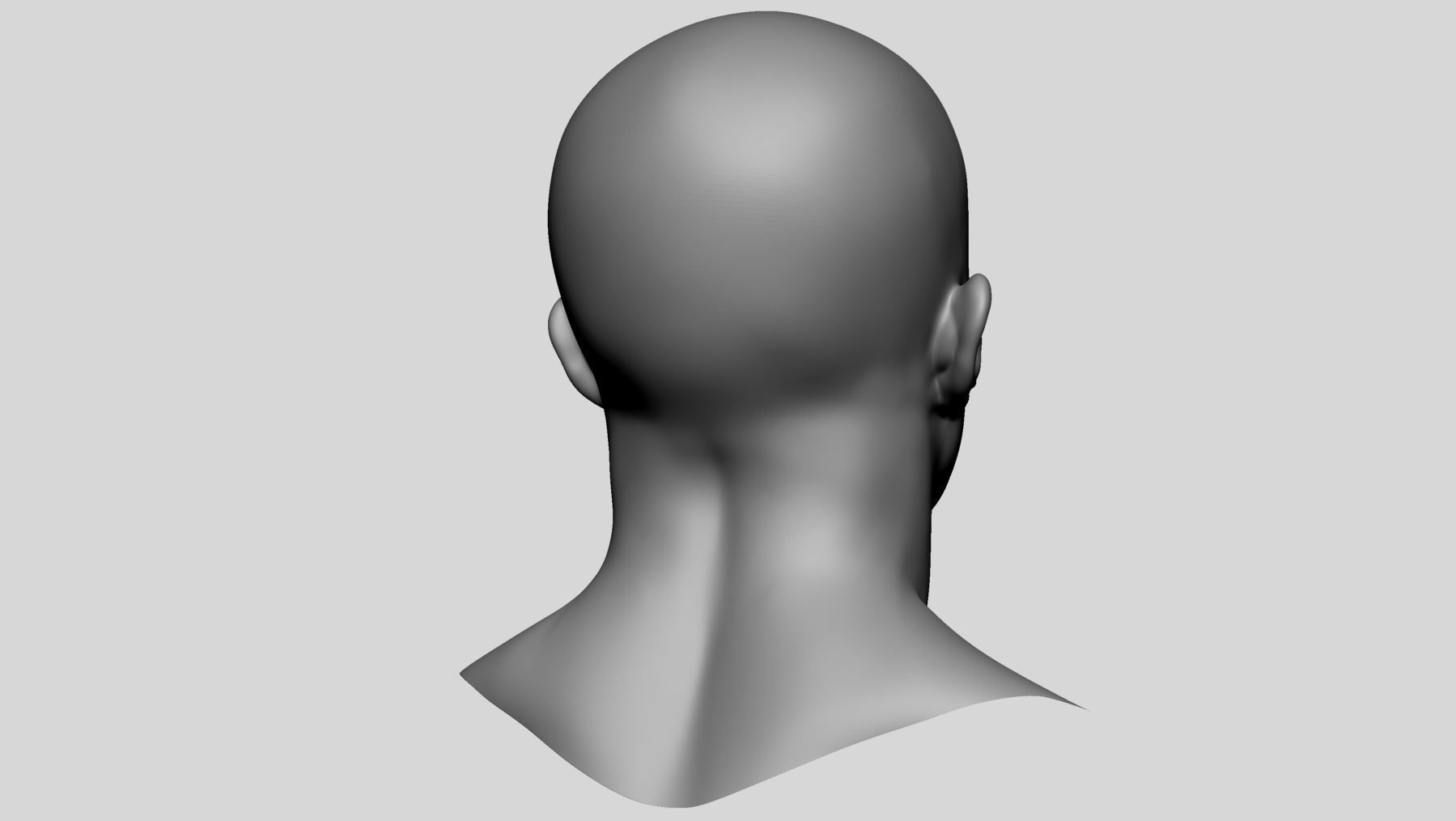 Male Head Basemesh v3 3D model_4