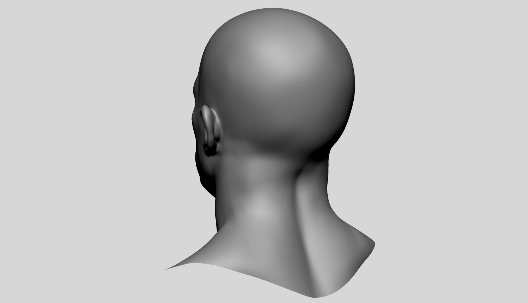 Male Head Basemesh v3 3D model_6