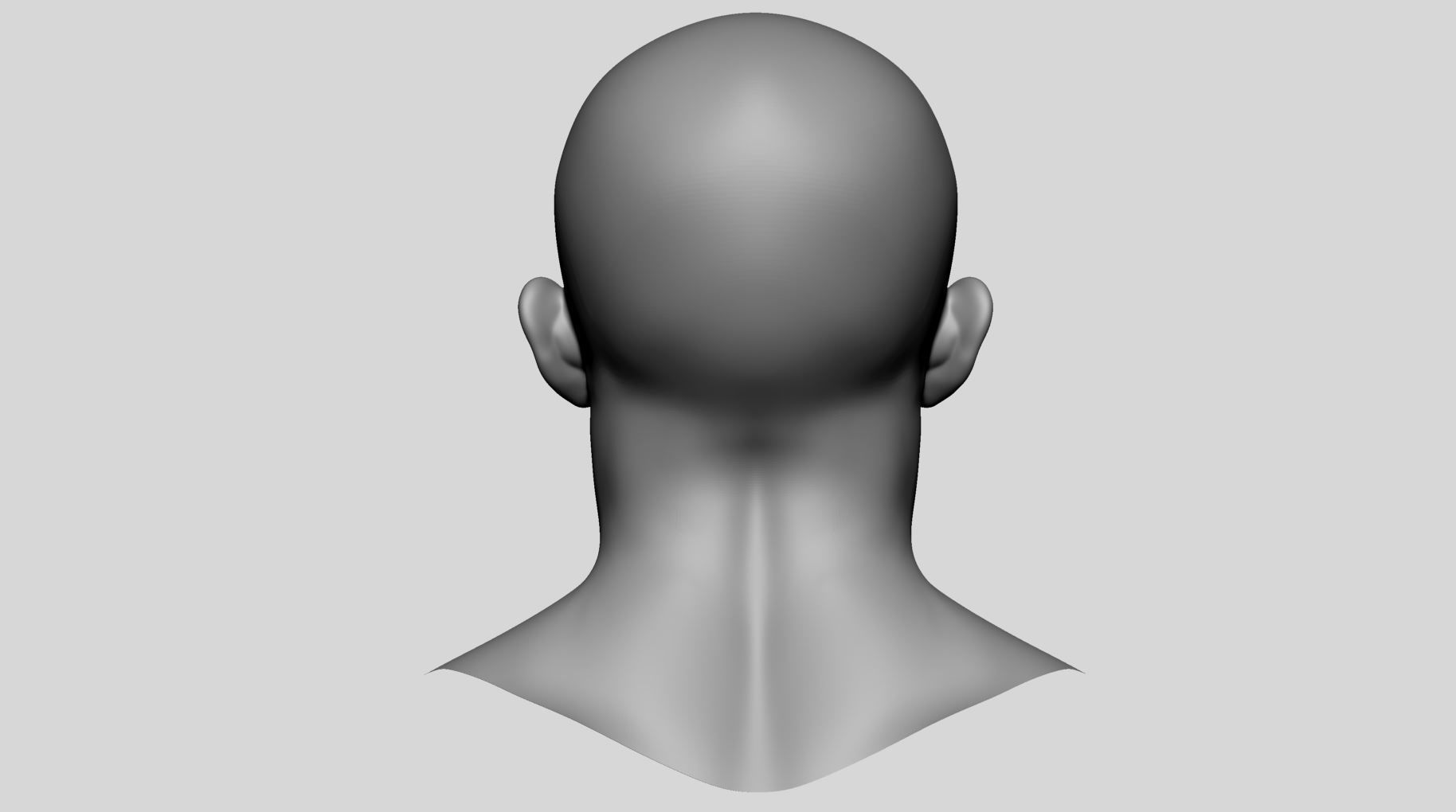 Male Head Basemesh v3 3D model_5