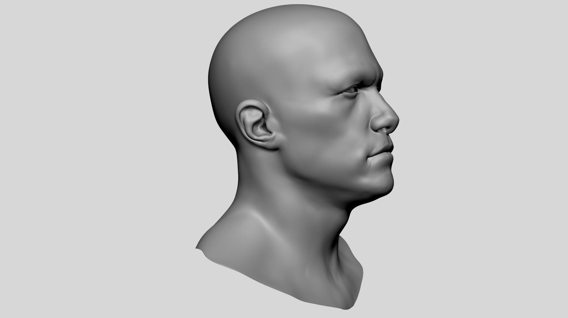 Male Head Basemesh v3 3D model_2