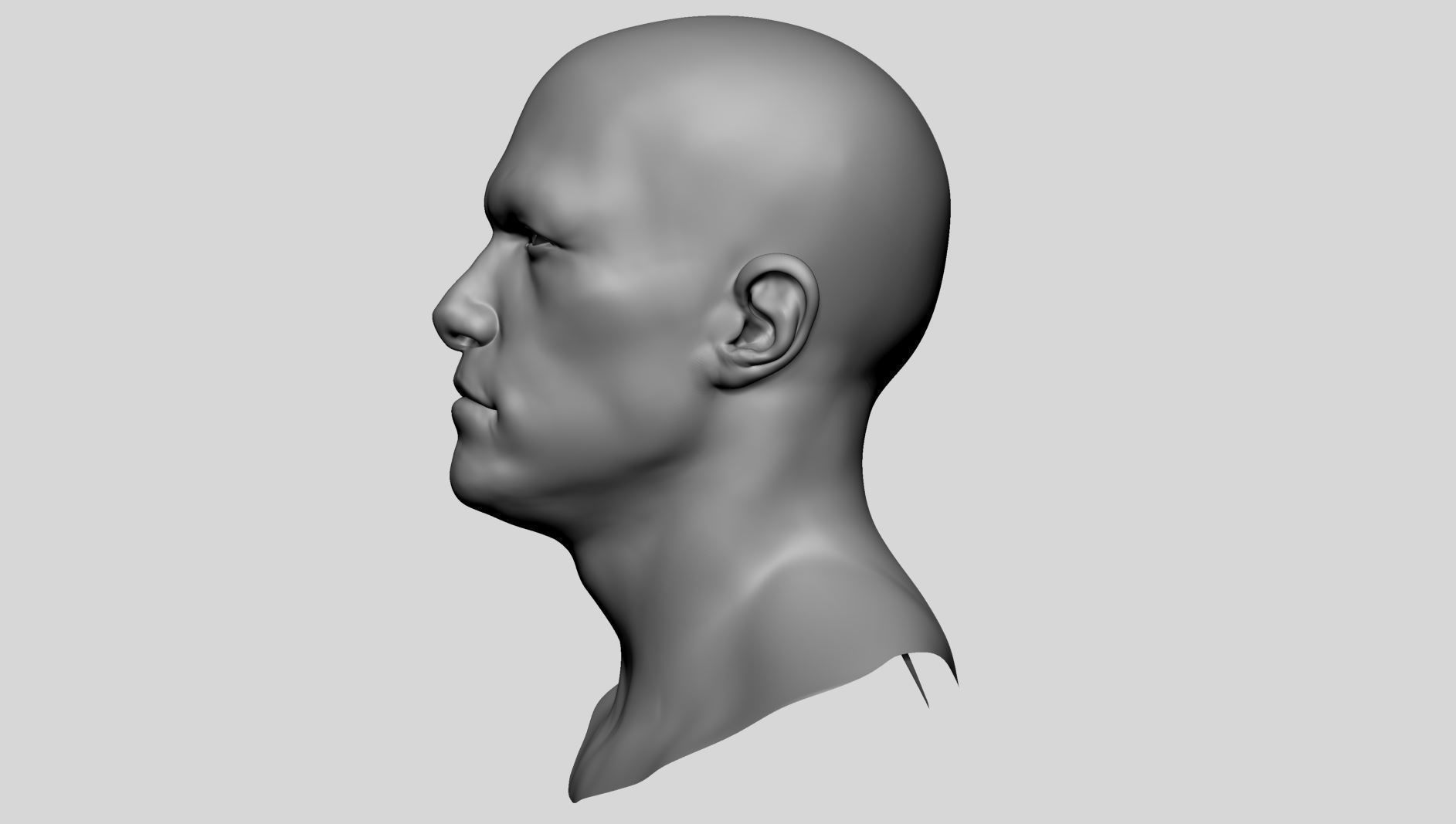 Male Head Basemesh v3 3D model_7