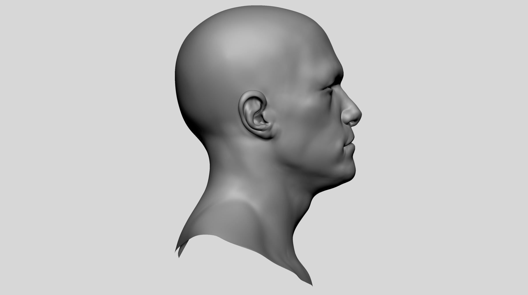 Male Head Basemesh v3 3D model_3