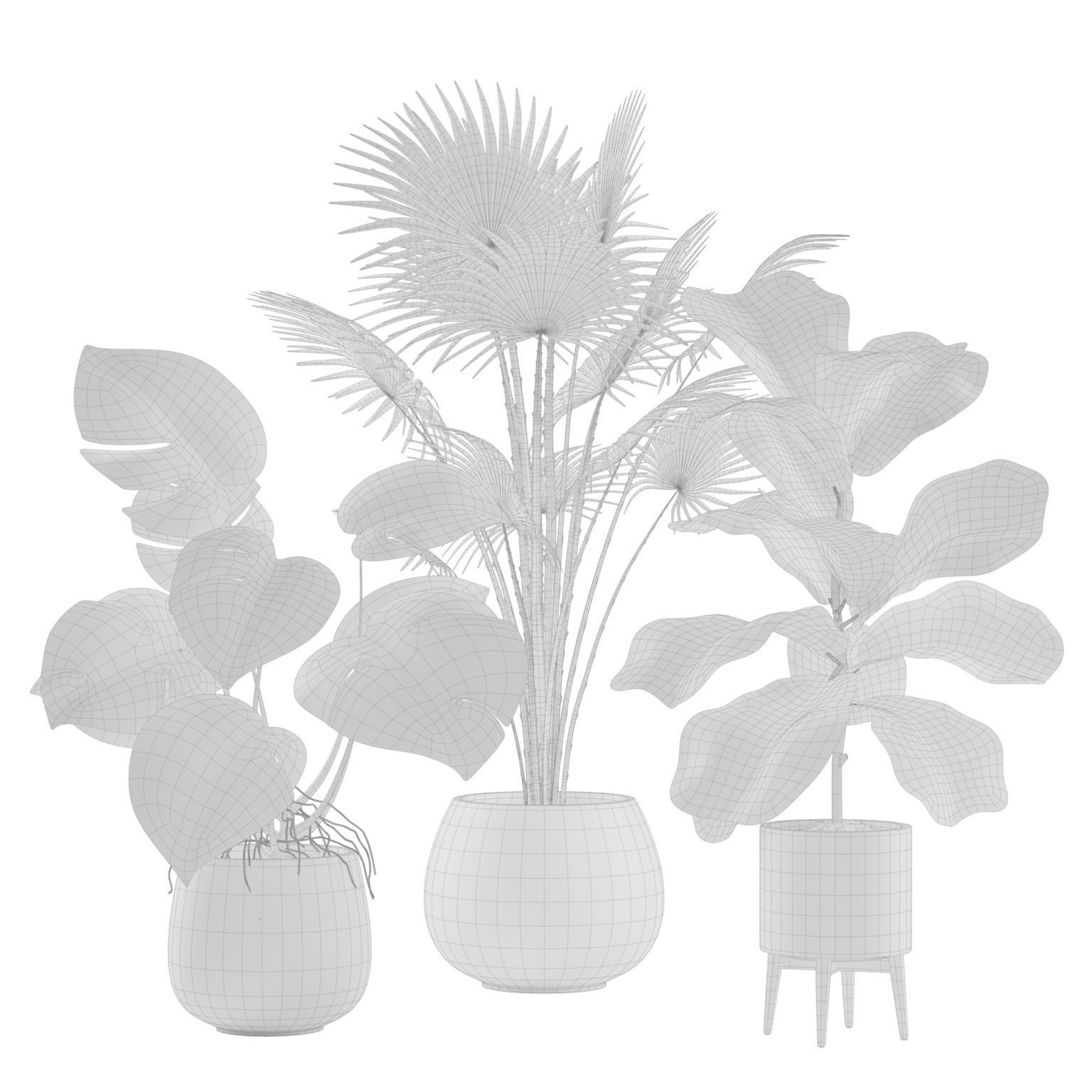 Indoor Plants Pack 05 3D model_1
