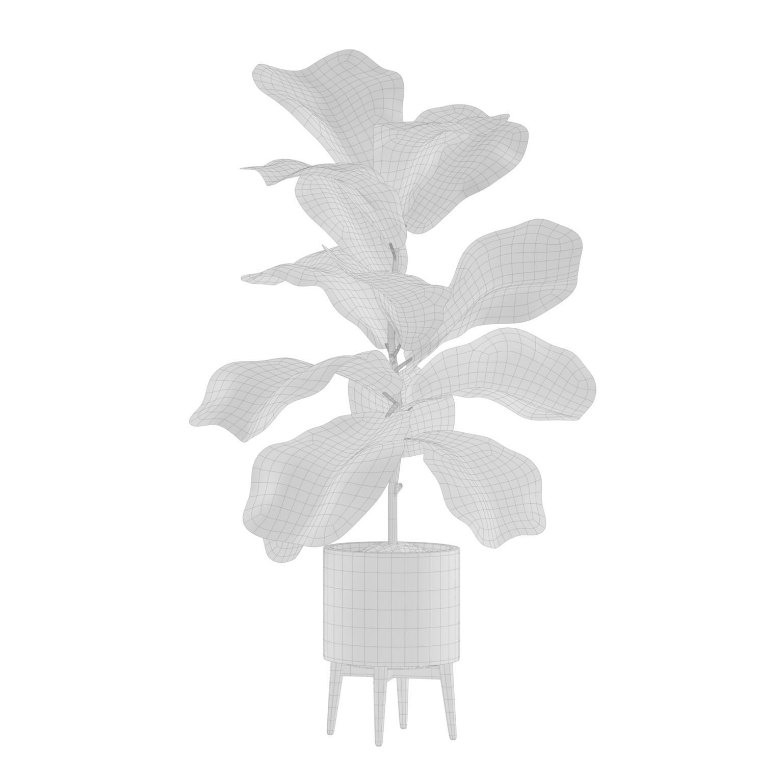 Indoor Plants Pack 05 3D model_3