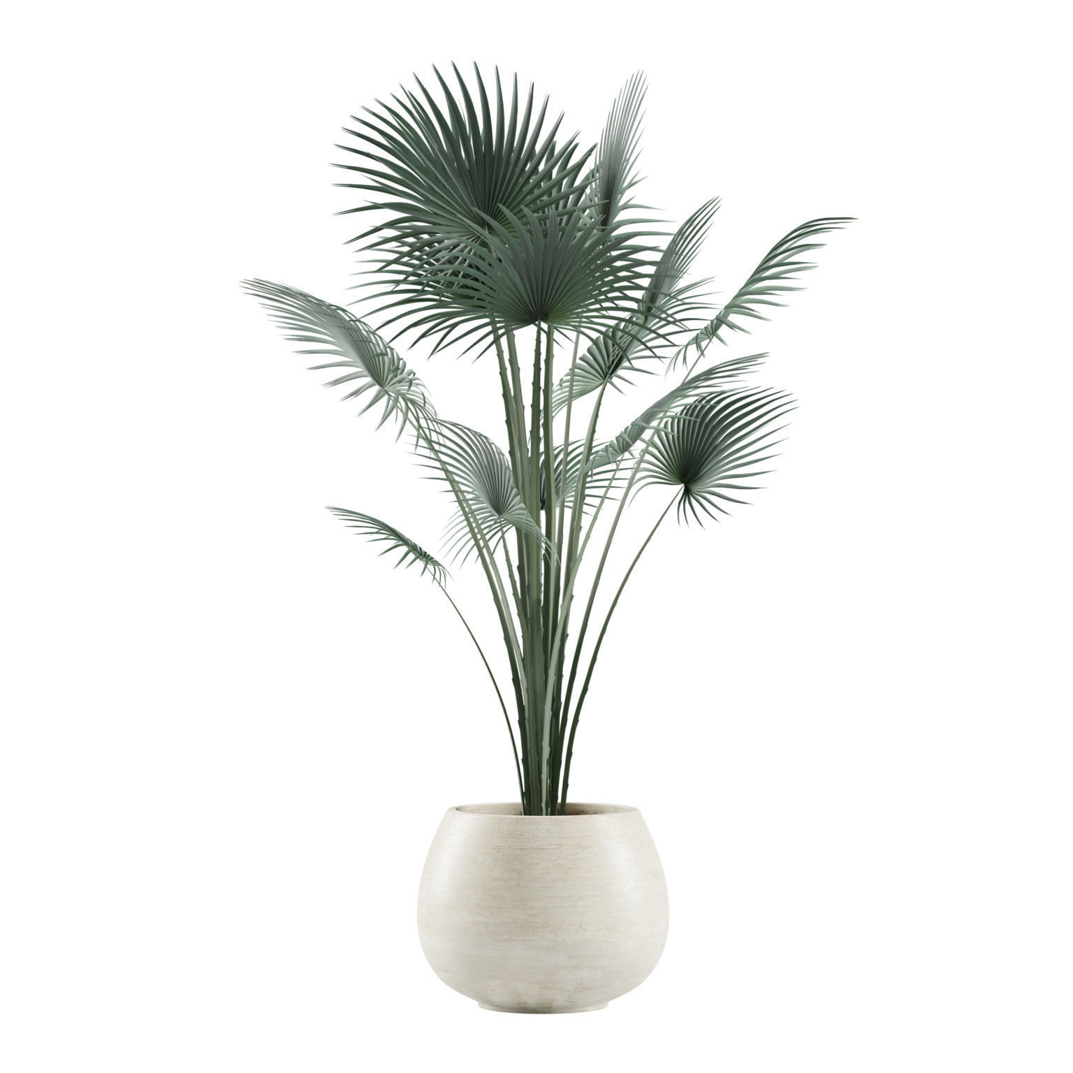 Indoor Plants Pack 05 3D model_6