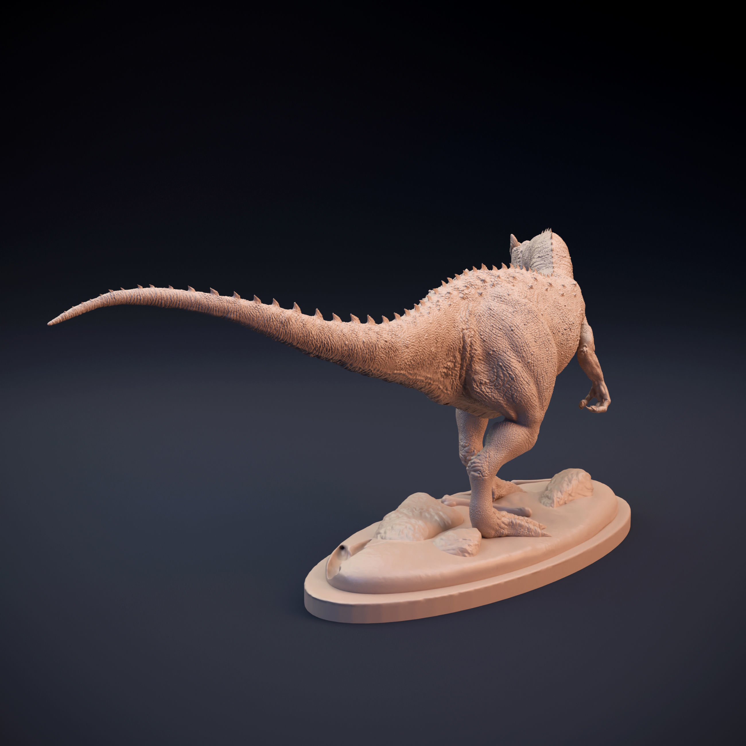 Allosaurus intended for 3D printing 3D print model_5