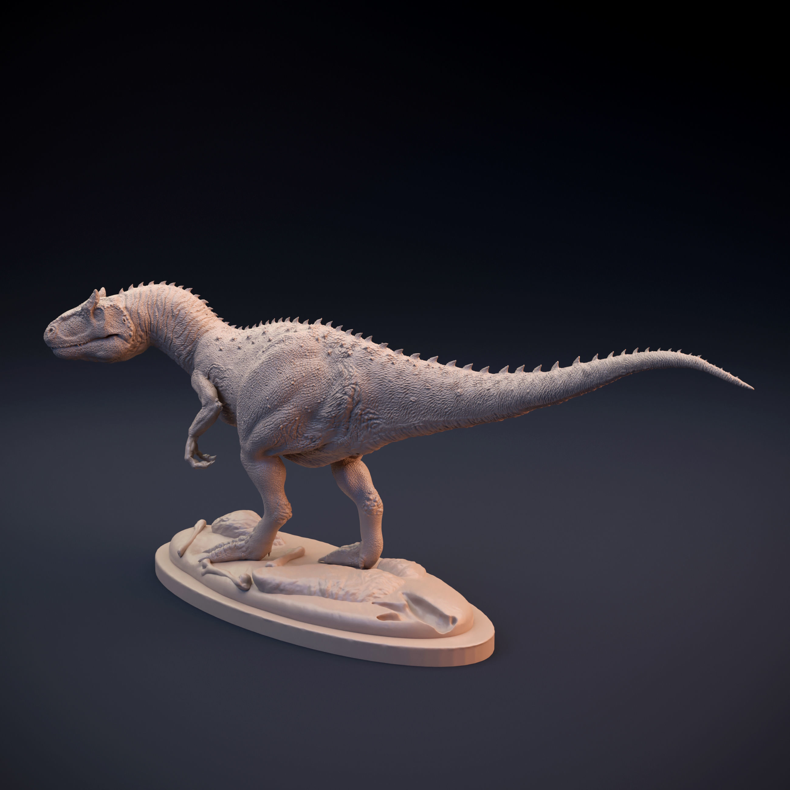 Allosaurus intended for 3D printing 3D print model_3