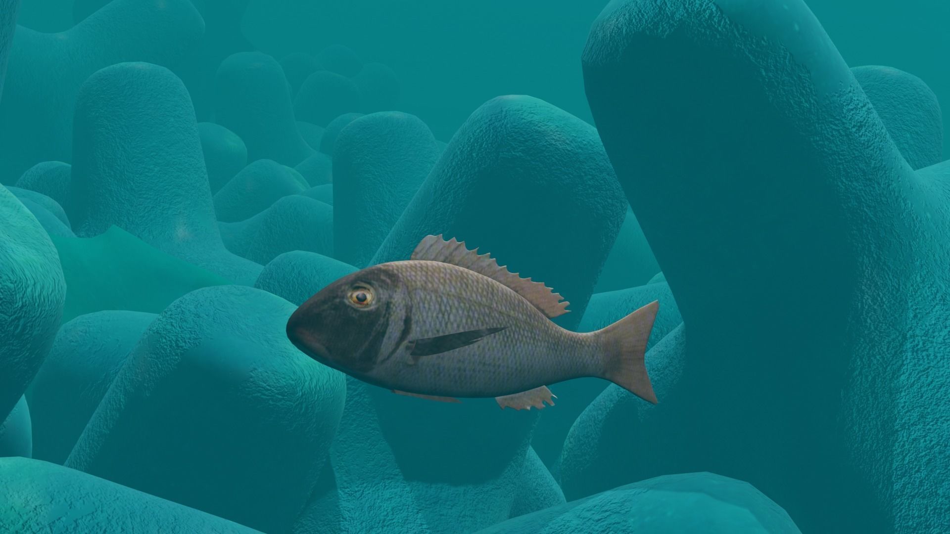 Orange finned emperor Low-poly 3D model_9