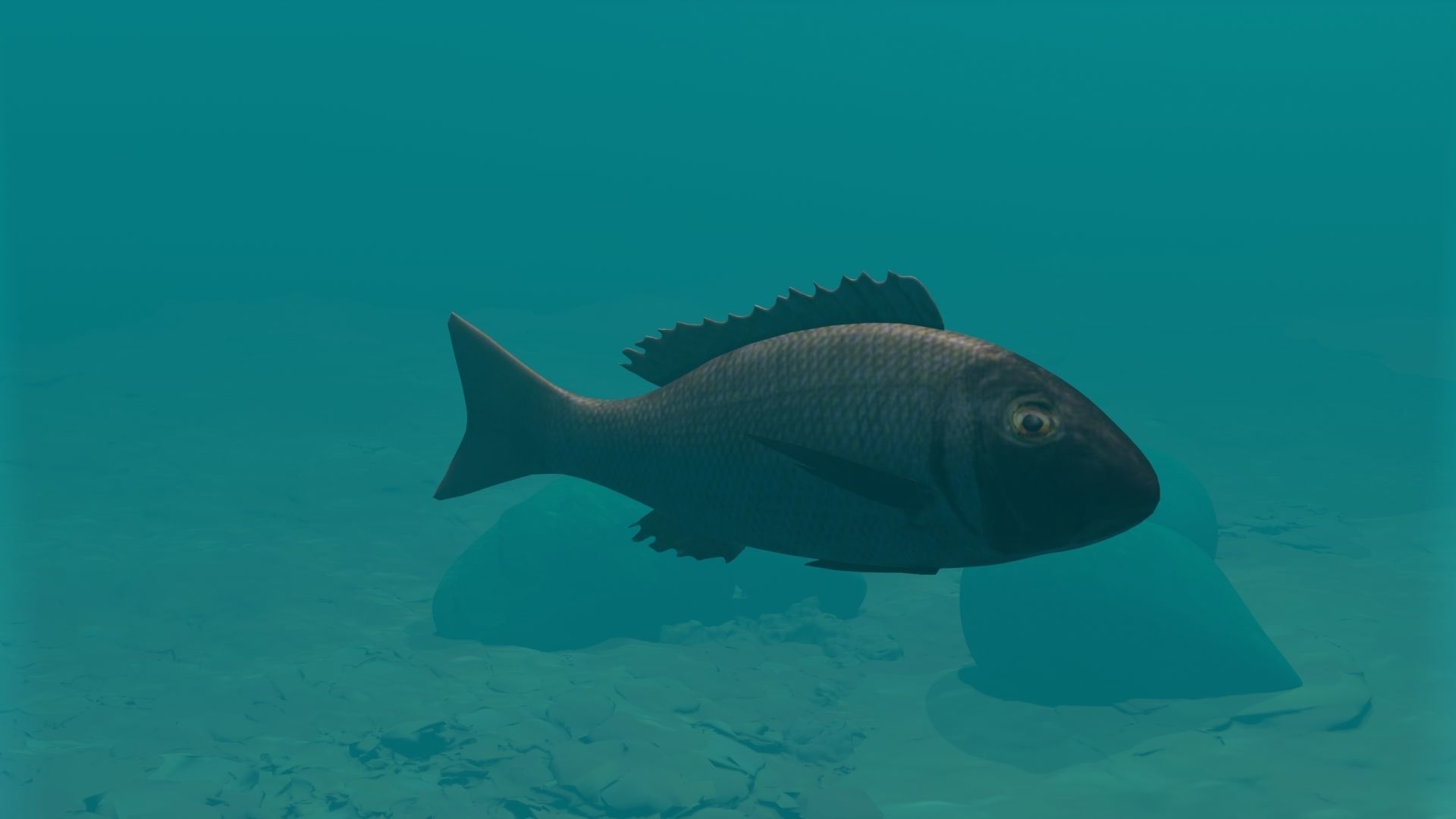 Orange finned emperor Low-poly 3D model_1