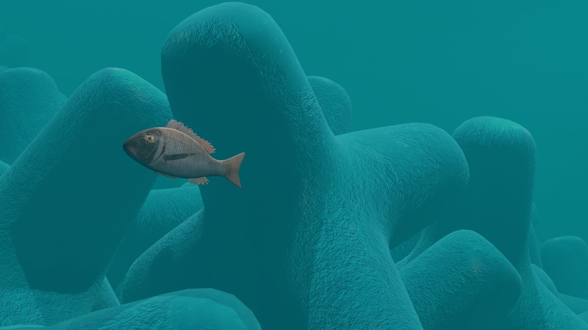 Eagle Ray and Orang finned 3D Model Collection_10