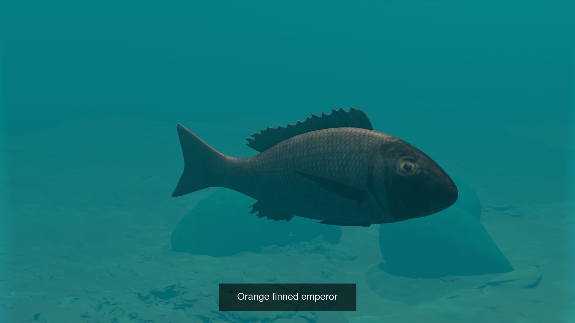 Eagle Ray and Orang finned 3D Model Collection_5
