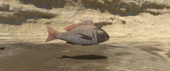 Eagle Ray and Orang finned 3D Model Collection_6