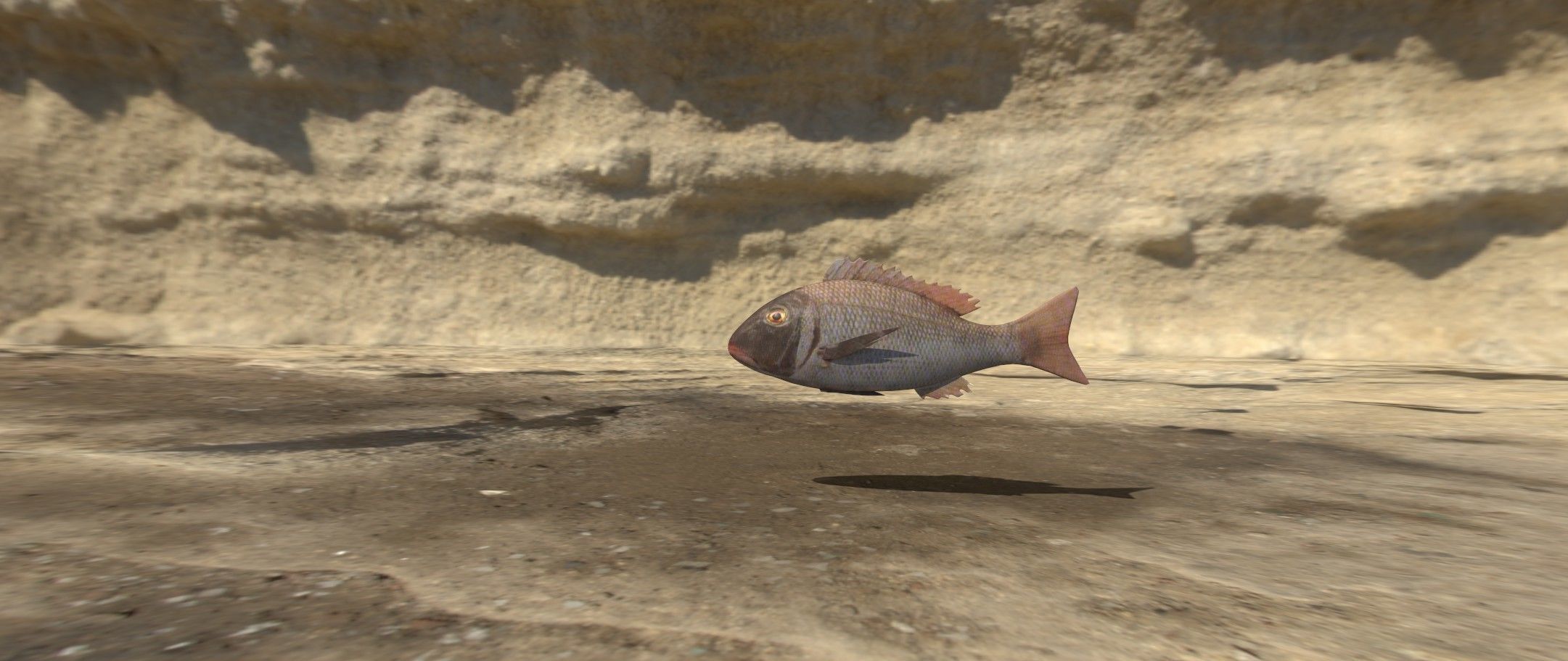 Eagle Ray and Orang finned 3D Model Collection_19