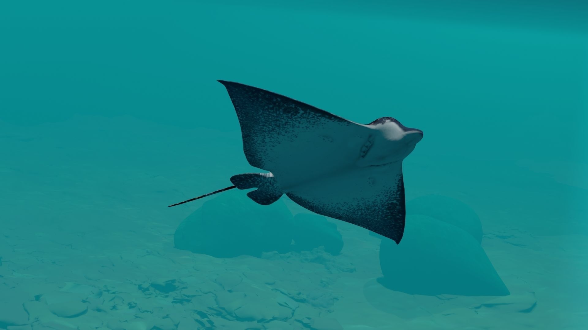 Eagle Ray and Orang finned 3D Model Collection_7