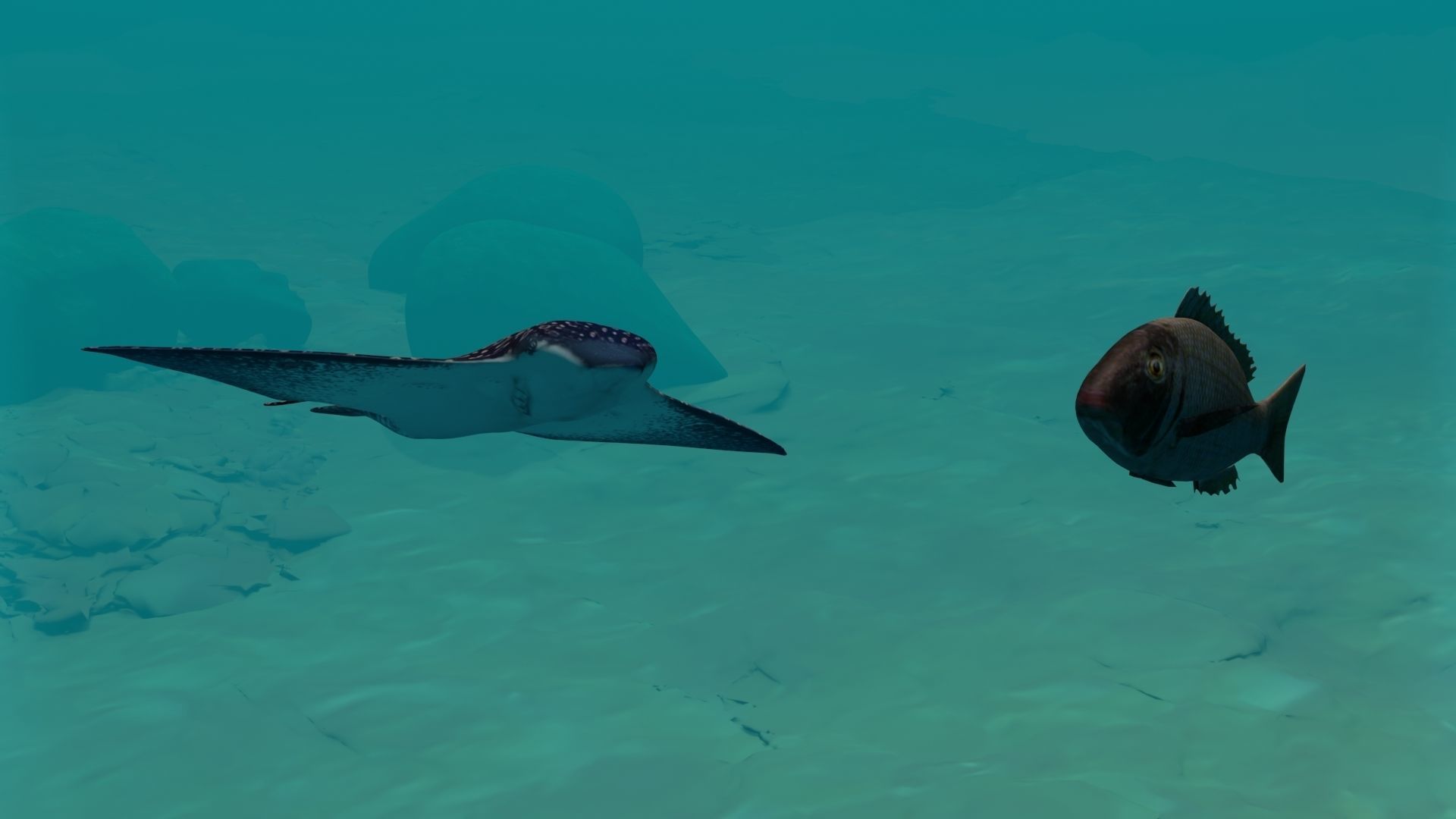 Eagle Ray and Orang finned 3D Model Collection_1