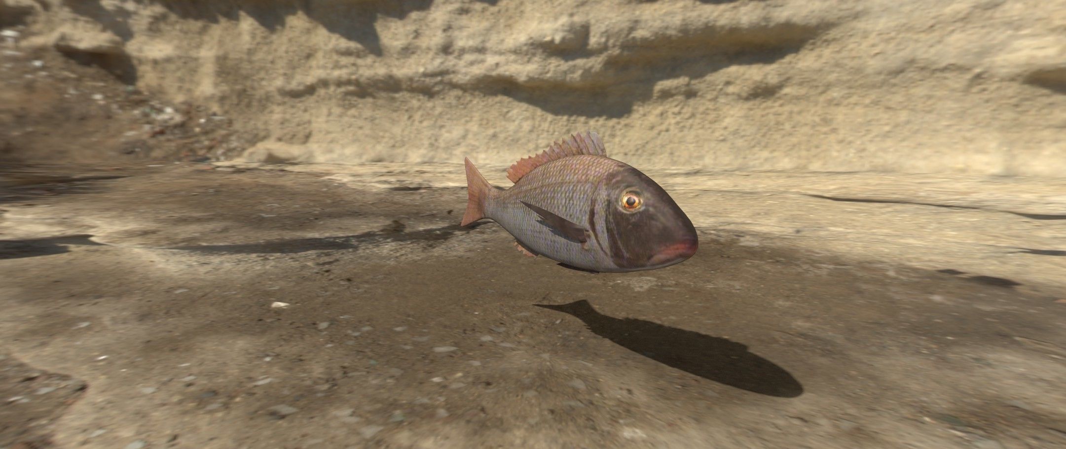 Eagle Ray and Orang finned 3D Model Collection_20