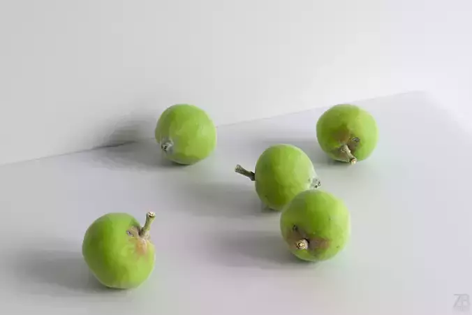 Apple 3D model