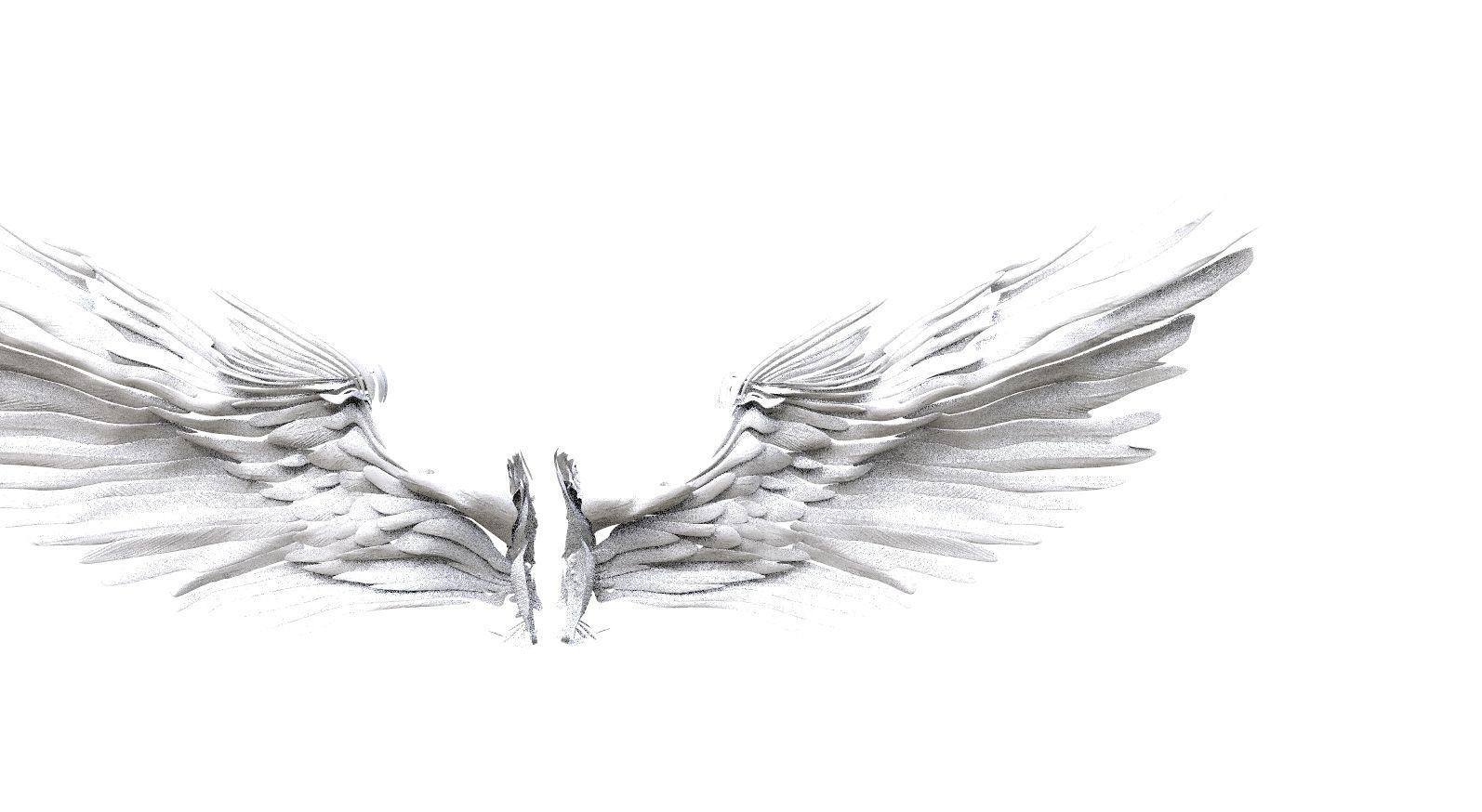 Angel and bird wings 3D model_1