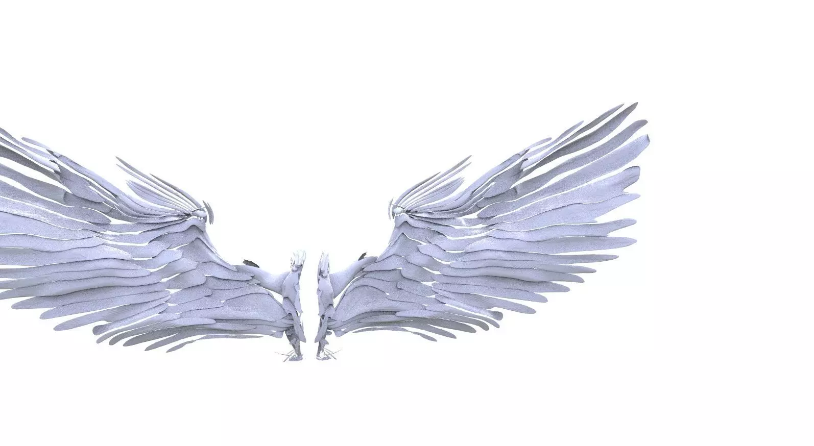 Angel and bird wings 3D model_0