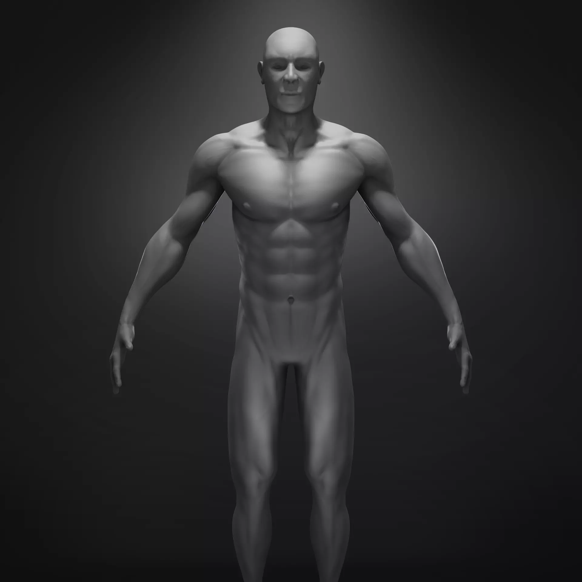 Anatomy male body 3D model